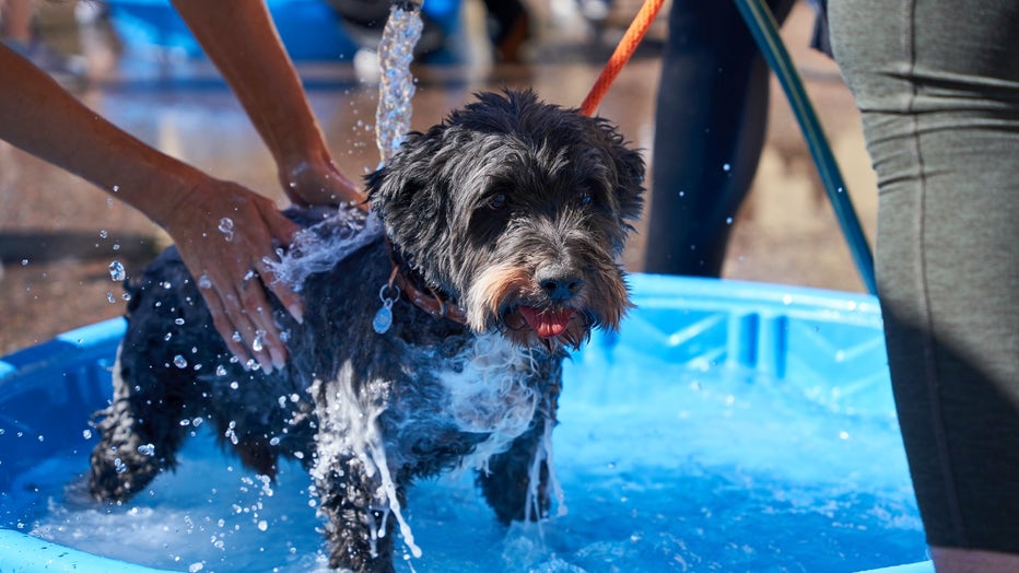 Rescue Rinse