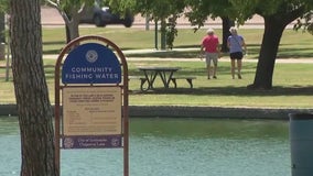 Smelling dead fish at this Scottsdale park? Here's why