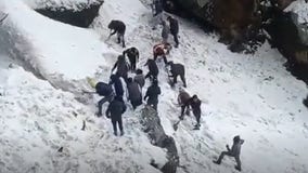 Avalanche in Himalayas kills 7 tourists in northeast India