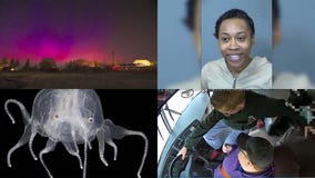 Northern Lights in Arizona, Sky Harbor TSA agents attacked over apple juice: This week's top offbeat headlines