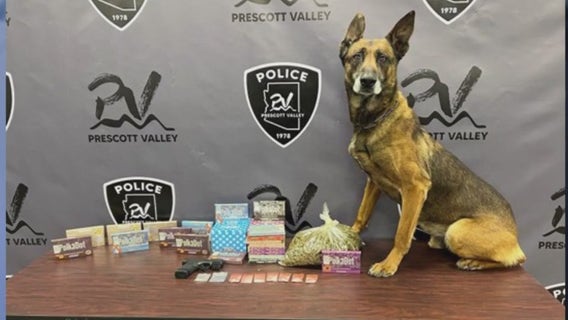 Pokémon cards theft leads to drug bust in Arizona involving baby