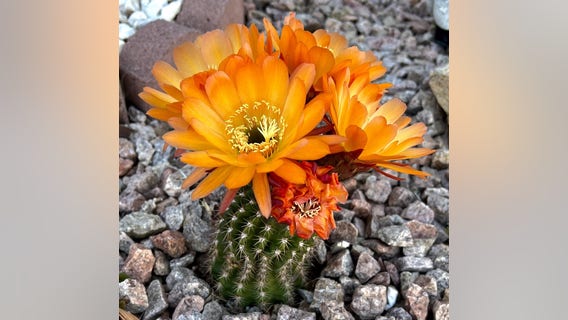 Arizona Photo of the Day - April 2023