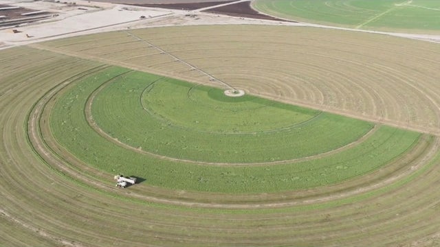 Saudi-owned farm's water use in Arizona under scrutiny