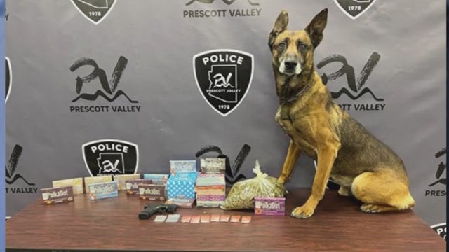 Pokémon cards theft leads to drug bust in Arizona involving baby