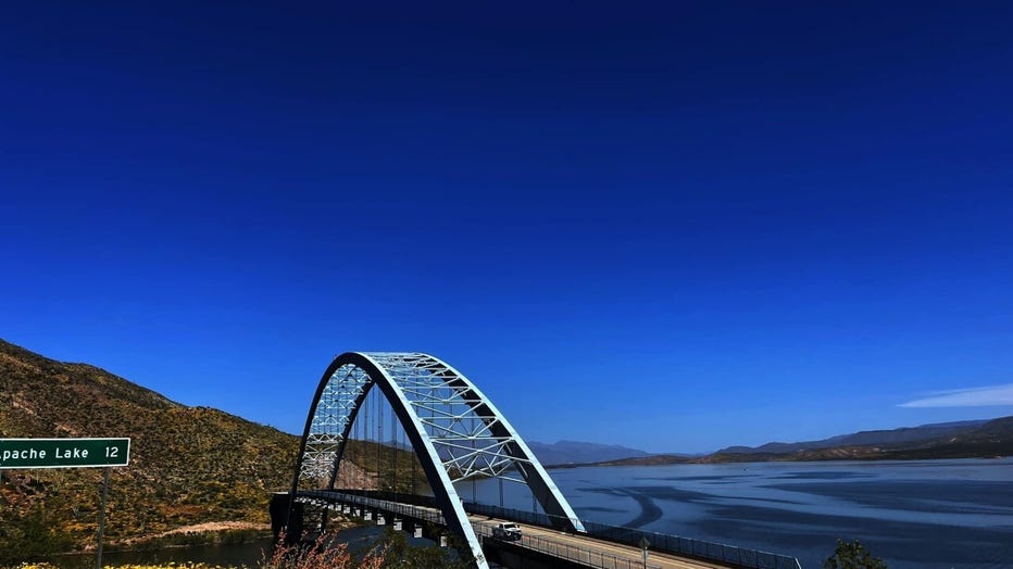 What a scenic drive, especially with the wildflowers out there! Thanks Lloyd Ferguson for sharing this photo from Roosevelt Lake!