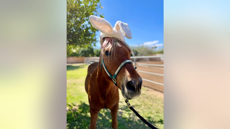 Easter at Hunkapi Farms. 