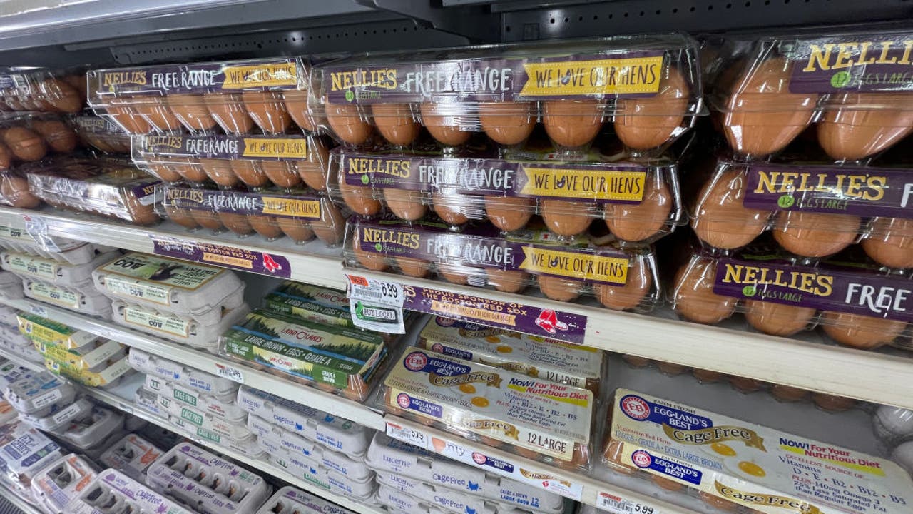 Egg prices should be going down soon, report finds | FOX 10 Phoenix