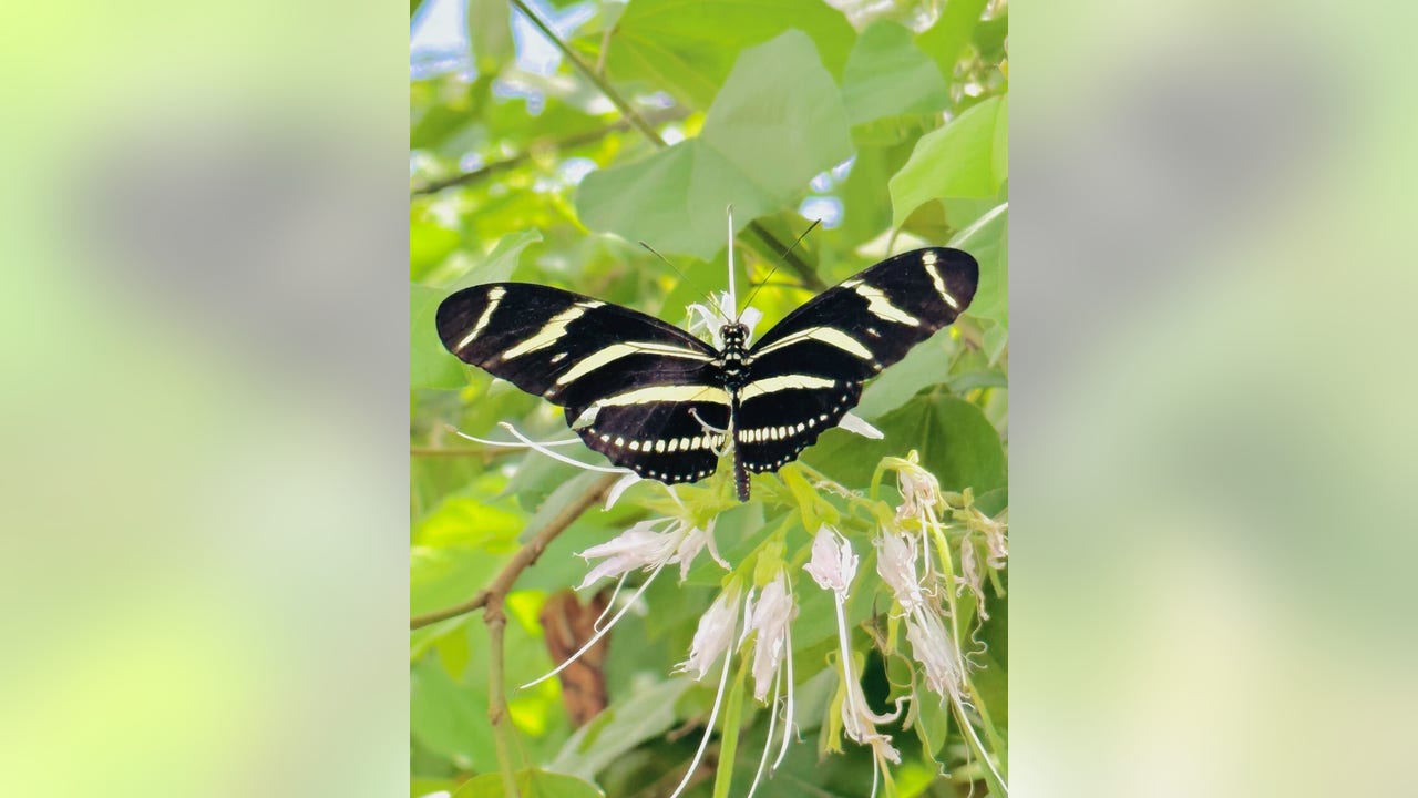 Arizona Photo of the Day - May 2023 - Vimarsana News