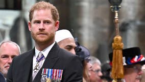 UK court: Prince Harry cannot personally pay for police protection when visiting