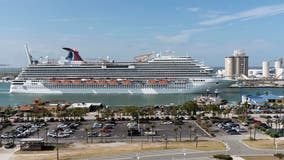 Man goes overboard Carnival Magic cruise ship off Florida's coast: officials