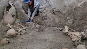 Skeletons discovered in Pompeii show deaths by earthquake, not just Vesuvius' eruption