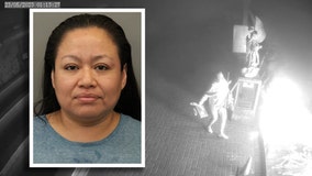 Arlington Heights woman caught on surveillance video torching Shrine of Our Lady of Guadalupe