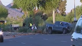 Car crashes into tree, knocks it down onto a firetruck in Scottsdale, police say