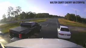 Watch: Driver stops on busy Florida highway for turtle crossing road, causes multi-vehicle crash