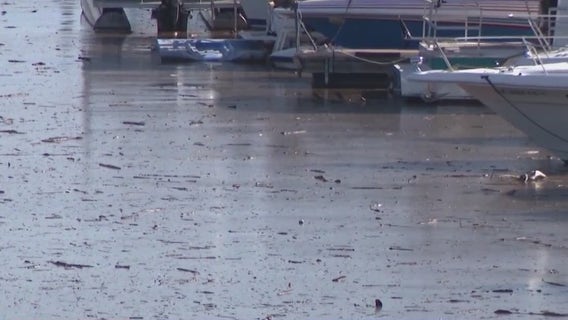 Lake Pleasant marina plagued with debris from snowmelt