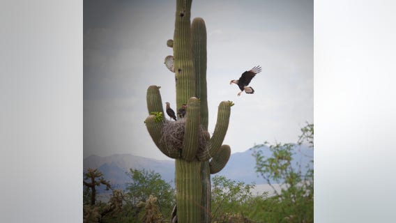 Arizona Photo of the Day - May 2023