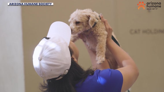 U.S. Army sergeant reunites with her dog in Phoenix