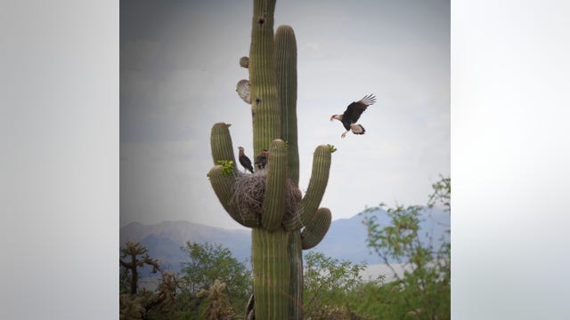 Arizona Photo of the Day - May 2023