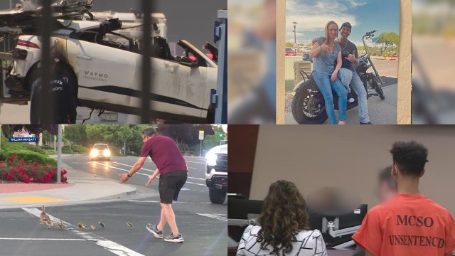 Duck rescuer killed, Lauren Heiki murder update, a reported Phoenix kidnapping: tonight's top stories