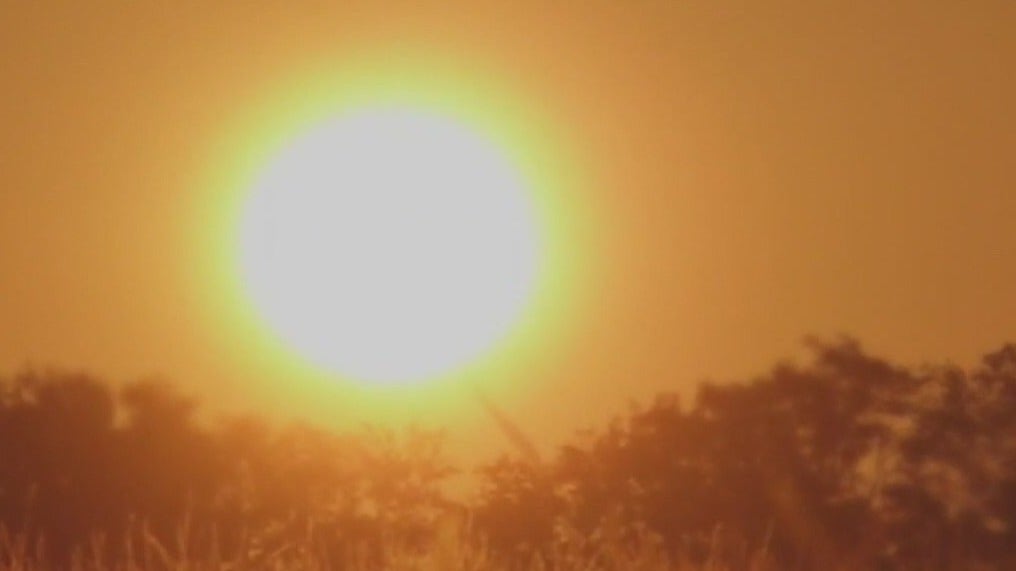 Heat wave prompts Cactus League to move games