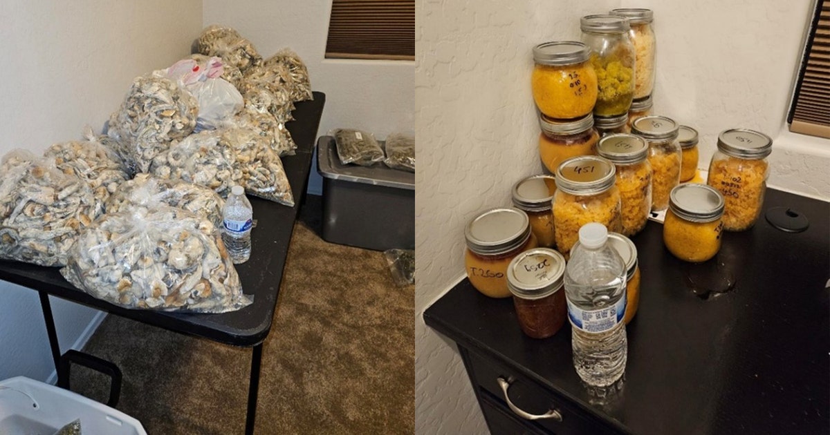 Guns, drugs, cash discovered in massive Phoenix-area bust | FOX 10 Phoenix
