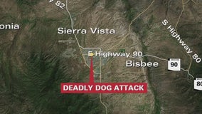 Sierra Vista dog attack leaves woman dead, man critically injured