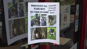 Florida couple visiting Arizona searching for stolen dogs