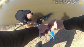 'Good boy!': Glendale officers use muffin to lure stuck dog out of canal