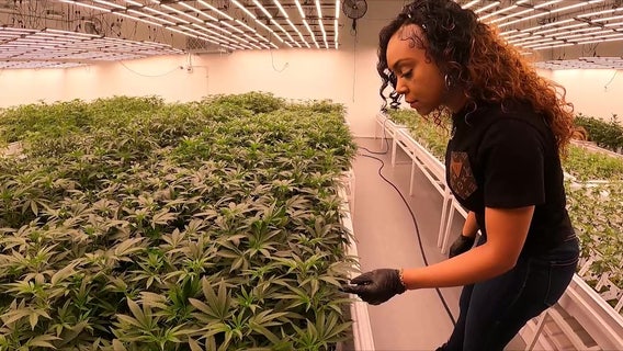 Arizona woman who won social equity license set to open dispensary as father serves 18-year marijuana sentence