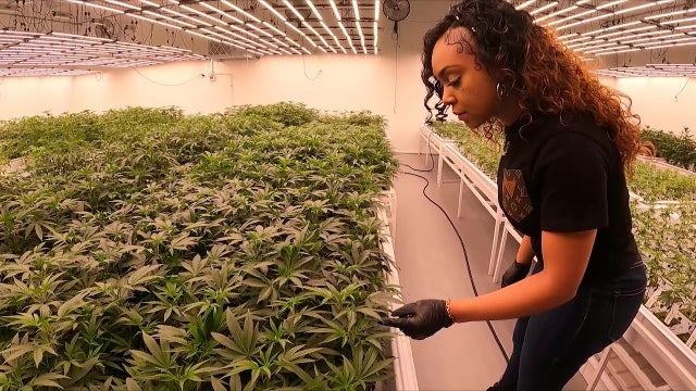 Arizona woman who won social equity license set to open dispensary as father serves 18-year marijuana sentence