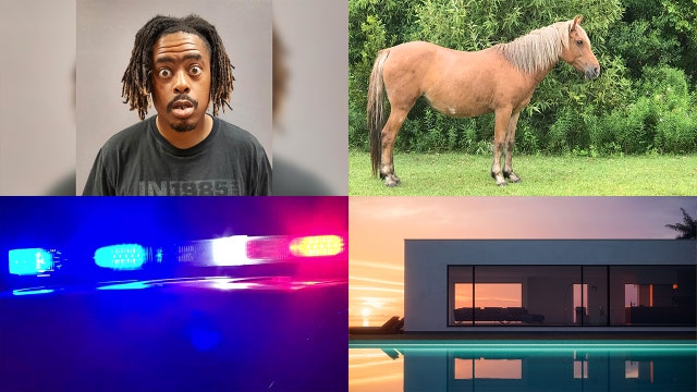 Nightly Roundup: Do you think you're rich? Arizona mugshot getting attention online