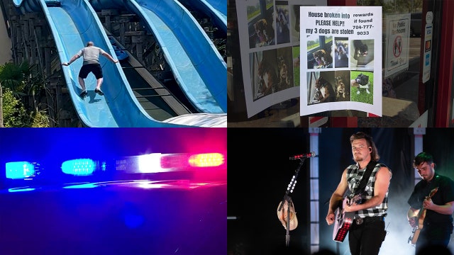 Nightly Roundup: Search for stolen dogs in Arizona, 'suspicious item' found in Phoenix