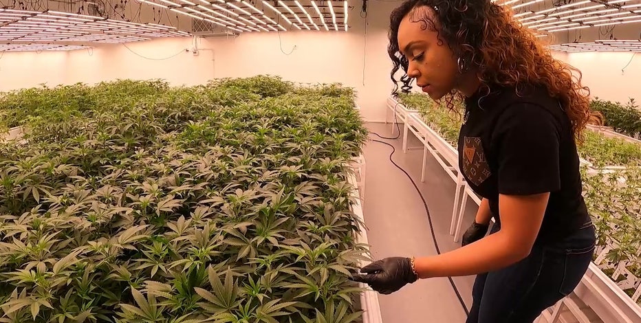 Arizona woman who won social equity license set to open dispensary as father serves 18-year marijuana sentence