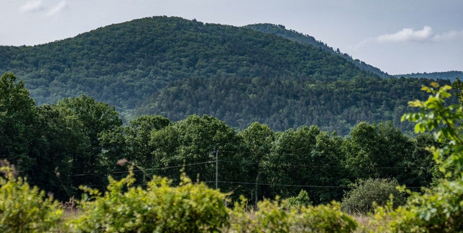 Prominent Florida family linked to plane that flew over DC, crashed in Virginia mountains