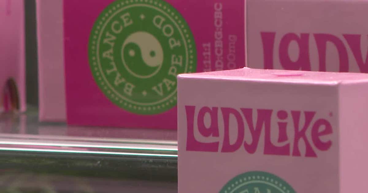 ladylike disposable vape Carts vs. Disposables: Which Vape Option Is Best for You? main image 1