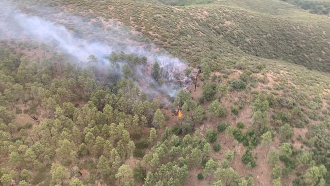 Lightning sparks fire on Mingus Mountain, just miles from Prescott Valley - Vimarsana News