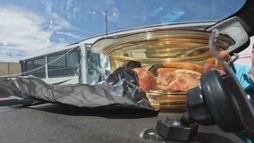 Dinner's ready! Mesa man cooks meals on his dashboard on hot days