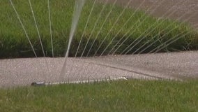 Gilbert residents can receive up to $800 to get rid of their grass