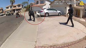 Glendale Police officers go on wild goat chase