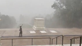 Soldier continues watch over Tomb of the Unknown Soldier as winds, rain lash DC area