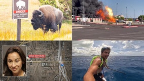 Phoenix woman struck by bison, $1B Powerball won, explosions in Phoenix fire: this week's top stories