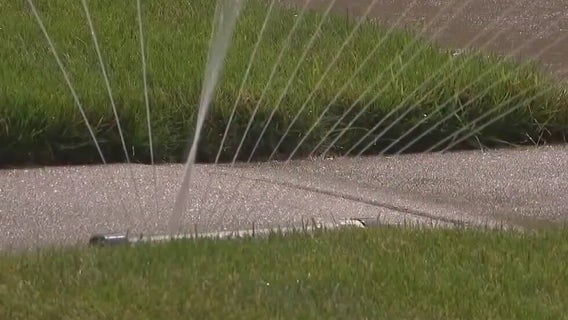 Gilbert residents can receive up to $800 to get rid of their grass