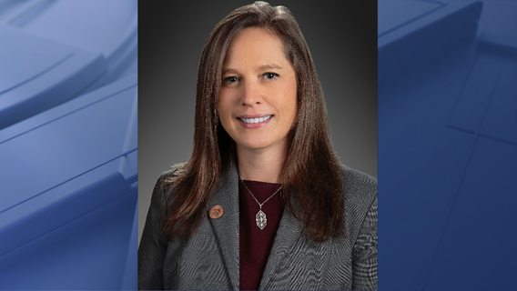 Ex-Arizona legislator chosen as replacement on Maricopa County Board of Supervisors
