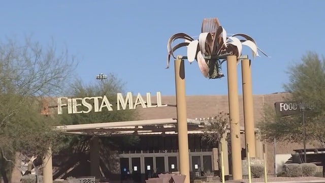 Demolition begins on vacant Fiesta Mall