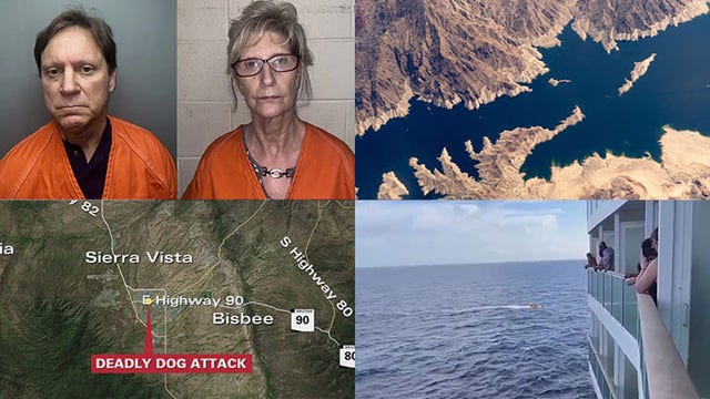 Child killed by martial arts instructor, human-caused Diamond Fire, deadly dog attack: this week's top stories