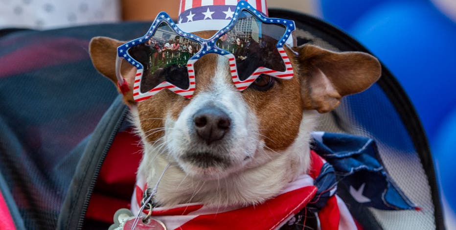 Tips to get anxious pets through Fourth of July fireworks