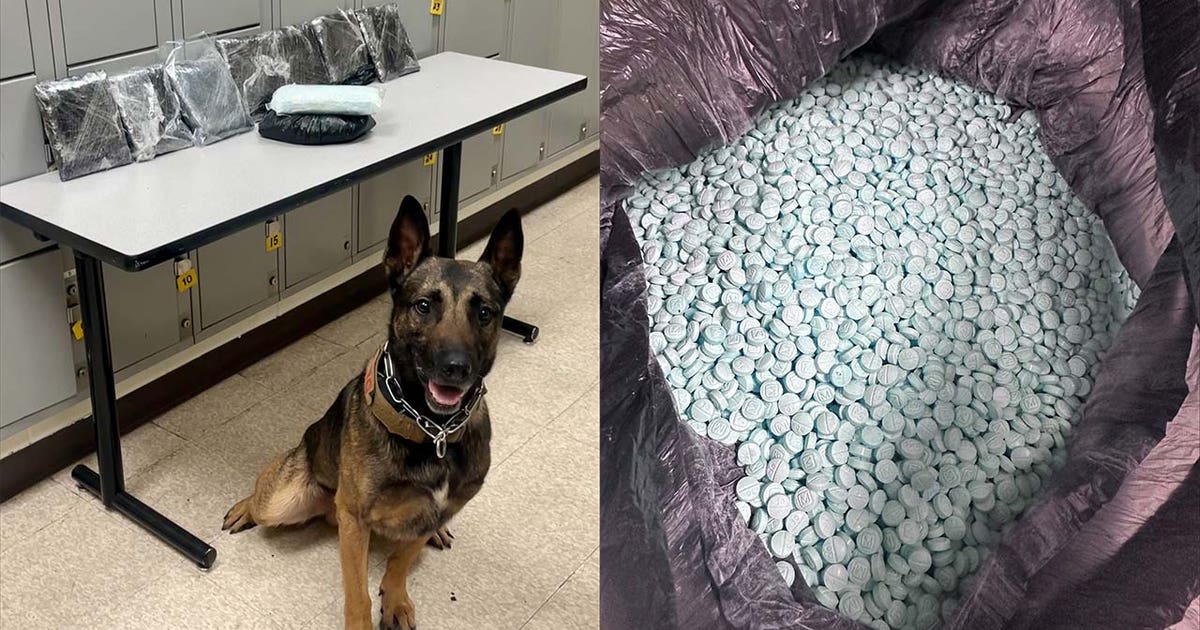 Coconino County deputy seizes 40K fentanyl pills during I-17 traffic ...