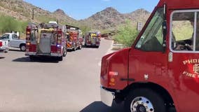 Dog dies on Piestewa Peak hiking trail, another dog rescued