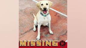 Phoenix Fire locates missing search dog