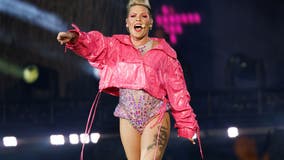 Devoted P!nk fans weather storm for DC show